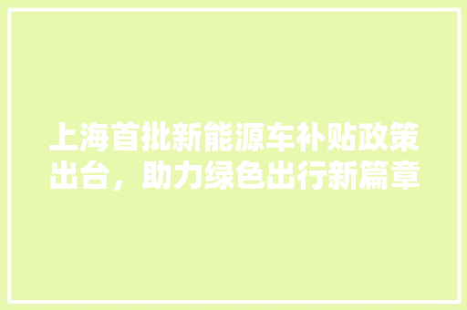 上海首批新能源车补贴政策出台，助力绿色出行新篇章