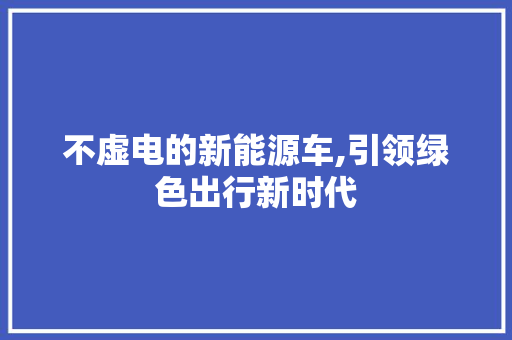 不虚电的新能源车,引领绿色出行新时代