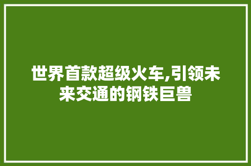 世界首款超级火车,引领未来交通的钢铁巨兽