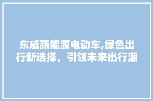 东威新能源电动车,绿色出行新选择，引领未来出行潮流