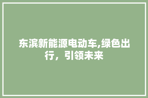 东滨新能源电动车,绿色出行，引领未来