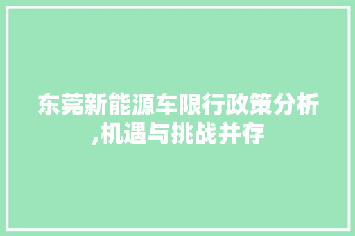 东莞新能源车限行政策分析,机遇与挑战并存