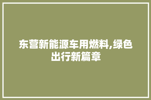 东营新能源车用燃料,绿色出行新篇章
