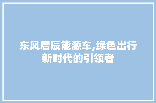 东风启辰能源车,绿色出行新时代的引领者
