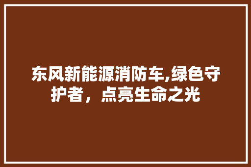 东风新能源消防车,绿色守护者，点亮生命之光