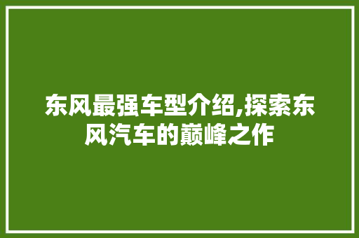 东风最强车型介绍,探索东风汽车的巅峰之作