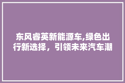 东风睿英新能源车,绿色出行新选择，引领未来汽车潮流 发动机配件