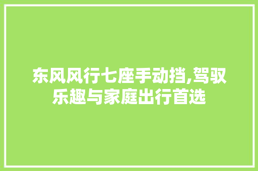 东风风行七座手动挡,驾驭乐趣与家庭出行首选