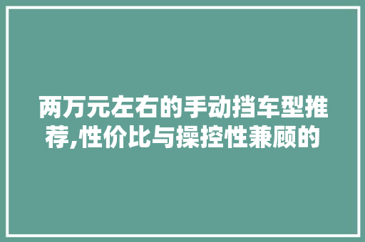 两万元左右的手动挡车型推荐,性价比与操控性兼顾的选择