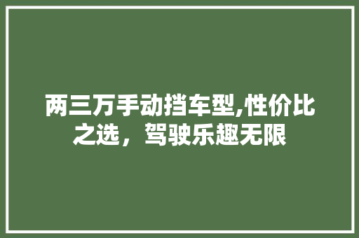 两三万手动挡车型,性价比之选，驾驶乐趣无限