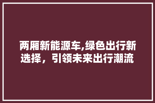 两厢新能源车,绿色出行新选择，引领未来出行潮流