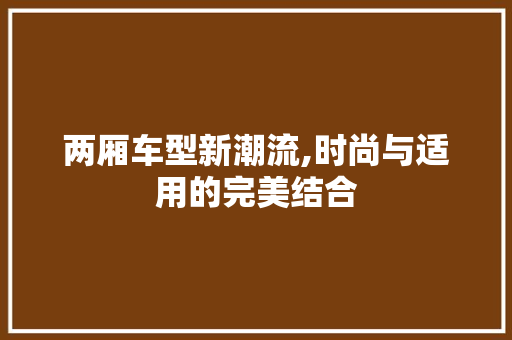 两厢车型新潮流,时尚与适用的完美结合