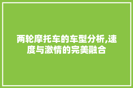 两轮摩托车的车型分析,速度与激情的完美融合