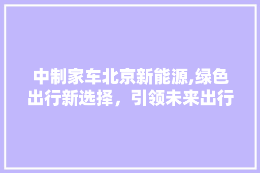 中制家车北京新能源,绿色出行新选择，引领未来出行潮流