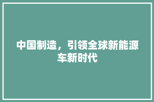 中国制造，引领全球新能源车新时代