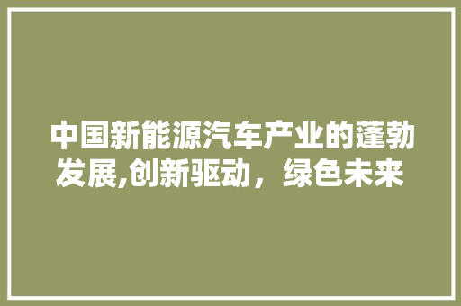 中国新能源汽车产业的蓬勃发展,创新驱动，绿色未来