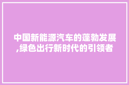 中国新能源汽车的蓬勃发展,绿色出行新时代的引领者