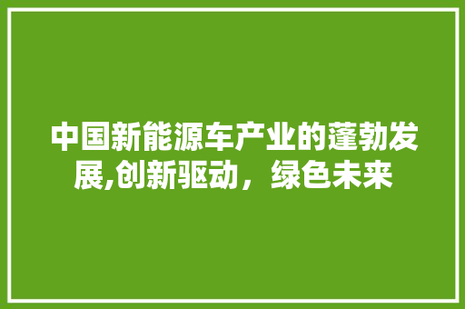 中国新能源车产业的蓬勃发展,创新驱动，绿色未来
