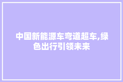中国新能源车弯道超车,绿色出行引领未来
