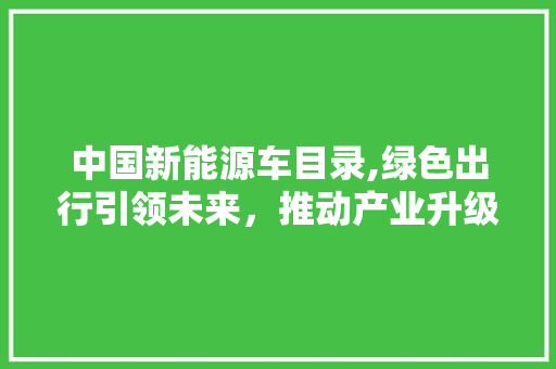中国新能源车目录,绿色出行引领未来，推动产业升级
