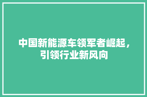 中国新能源车领军者崛起，引领行业新风向