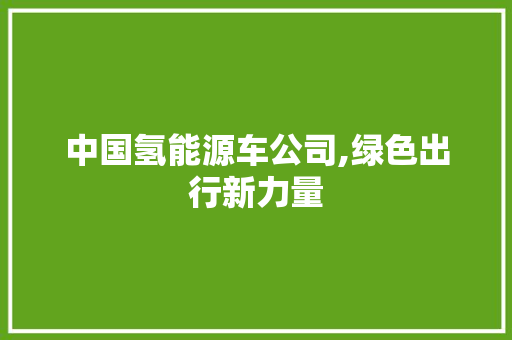 中国氢能源车公司,绿色出行新力量