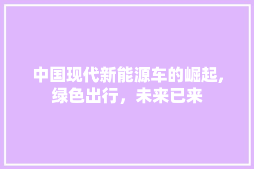 中国现代新能源车的崛起,绿色出行，未来已来