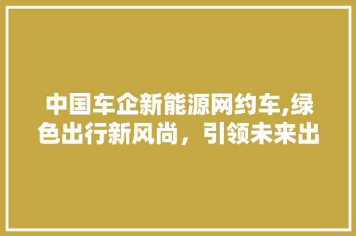 中国车企新能源网约车,绿色出行新风尚，引领未来出行革命