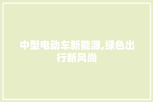 中型电动车新能源,绿色出行新风尚