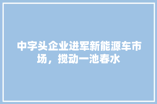 中字头企业进军新能源车市场，搅动一池春水