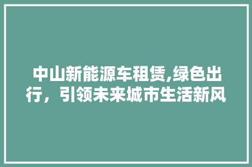 中山新能源车租赁,绿色出行，引领未来城市生活新风尚