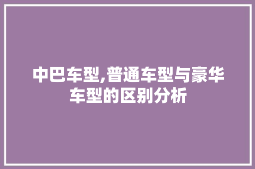 中巴车型,普通车型与豪华车型的区别分析
