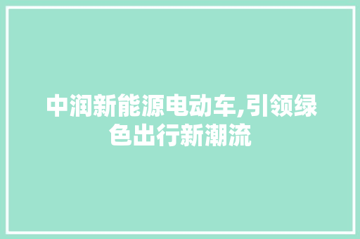 中润新能源电动车,引领绿色出行新潮流