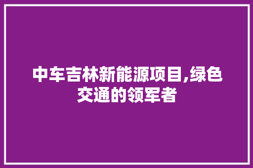 中车吉林新能源项目,绿色交通的领军者