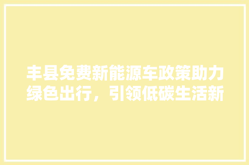 丰县免费新能源车政策助力绿色出行，引领低碳生活新风尚