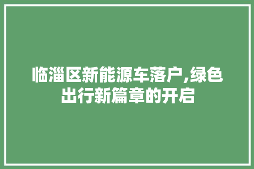 临淄区新能源车落户,绿色出行新篇章的开启
