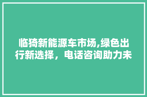 临猗新能源车市场,绿色出行新选择，电话咨询助力未来环保生活