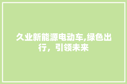 久业新能源电动车,绿色出行，引领未来