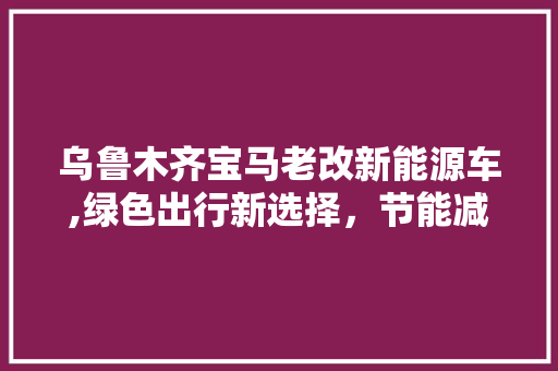 乌鲁木齐宝马老改新能源车,绿色出行新选择，节能减排显担当