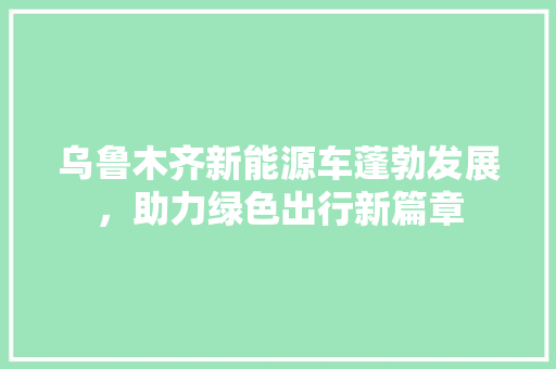 乌鲁木齐新能源车蓬勃发展，助力绿色出行新篇章