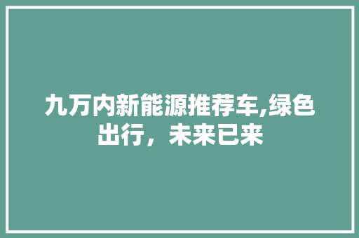 九万内新能源推荐车,绿色出行，未来已来