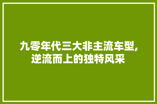 九零年代三大非主流车型,逆流而上的独特风采
