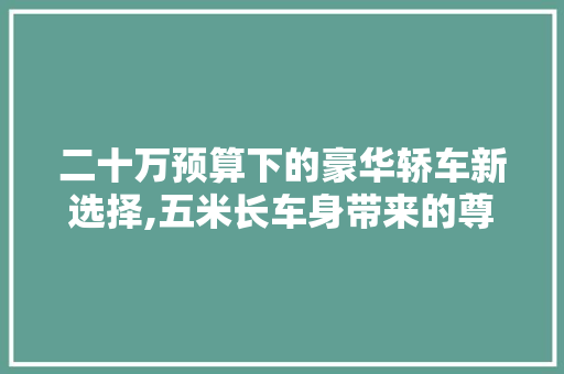 二十万预算下的豪华轿车新选择,五米长车身带来的尊享体验