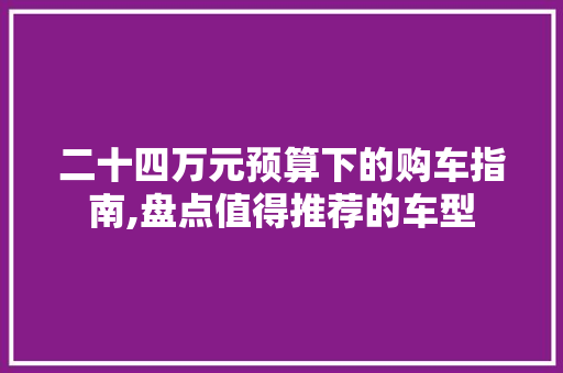 二十四万元预算下的购车指南,盘点值得推荐的车型