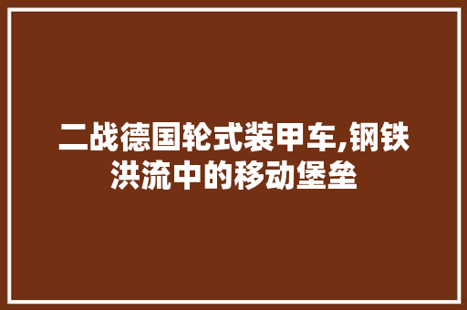 二战德国轮式装甲车,钢铁洪流中的移动堡垒