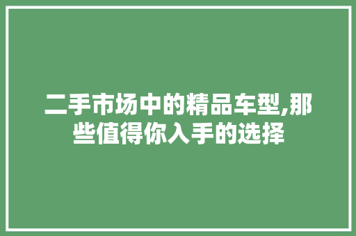 二手市场中的精品车型,那些值得你入手的选择