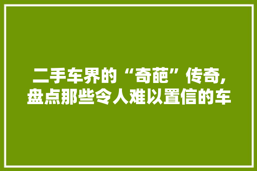 二手车界的“奇葩”传奇,盘点那些令人难以置信的车型