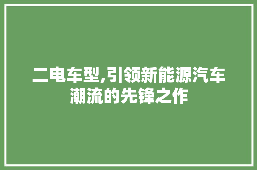 二电车型,引领新能源汽车潮流的先锋之作