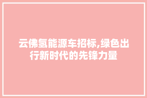 云佛氢能源车招标,绿色出行新时代的先锋力量