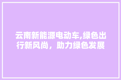 云南新能源电动车,绿色出行新风尚，助力绿色发展